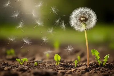 Illustration propagated - Image 1