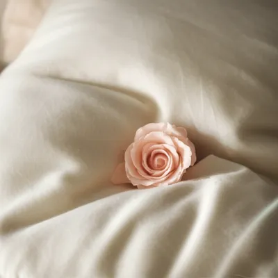 Illustration cushioned - Image 1