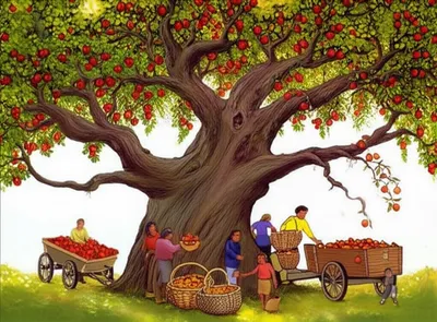 Illustration carries - Image 1