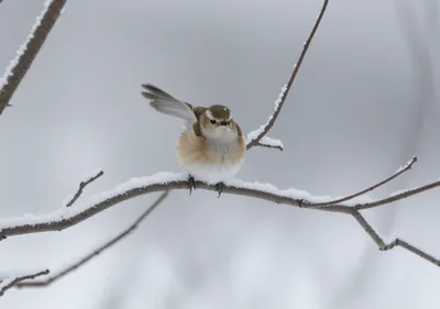 Illustration helplessly