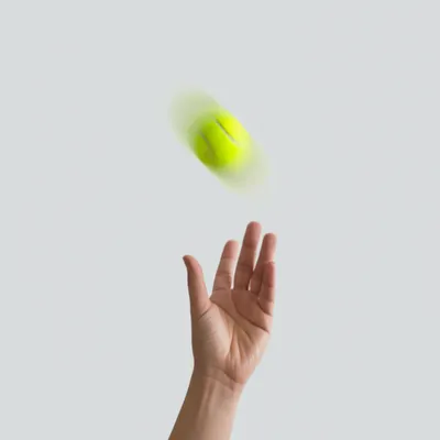 Illustration service - Image 1