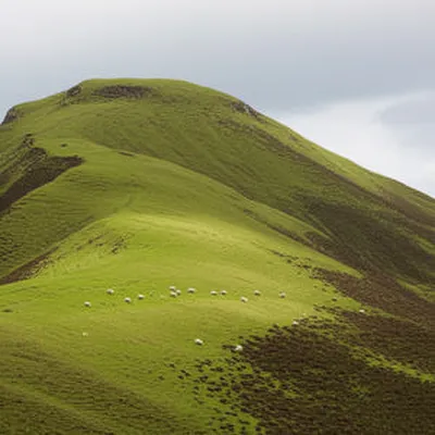 Illustration lows - Image 1