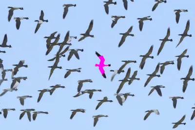 Illustration erratic - Image 1