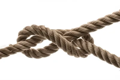 Illustration marry - Image 1