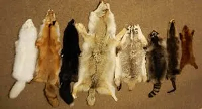 Illustration coat - Image 2