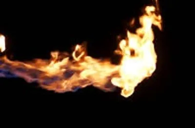 Illustration tongue - Image 2