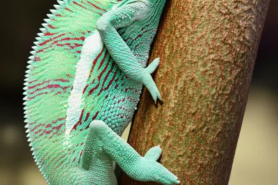 Illustration sticking - Image 1