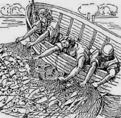 Illustration draught - Image 3