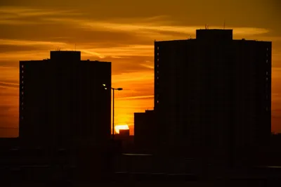 Illustration latest - Image 1