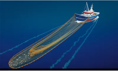 Illustration trawled - Image 1