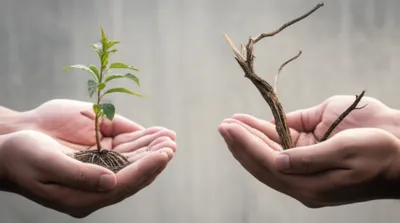 Illustration arguing