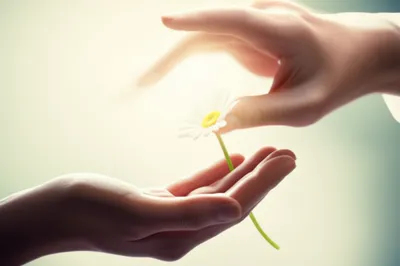 Illustration complimentary