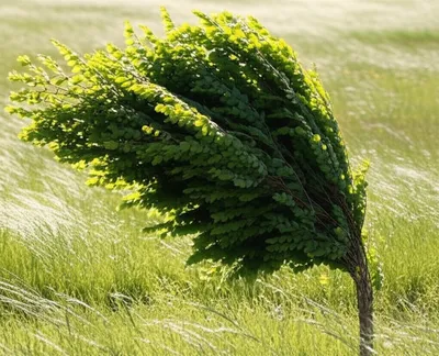 Illustration yielding - Image 1