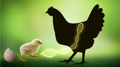 Illustration imprinted - Image 1