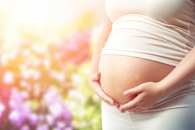 Hình ảnh minh họa bags - Ảnh 1