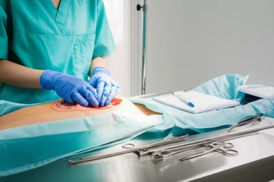 Illustration necropsy - Image 1