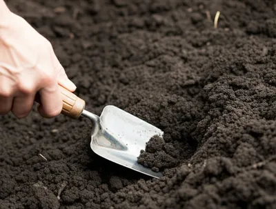 Illustration spade - Image 1