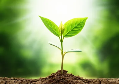 Illustration strong - Image 1