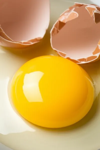 Illustration strains - Image 1