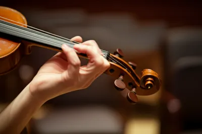 Illustration plucking - Image 1