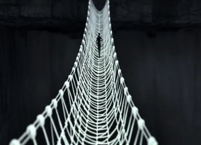 Illustration brace - Image 1