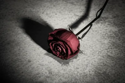 Illustration silence - Image 1