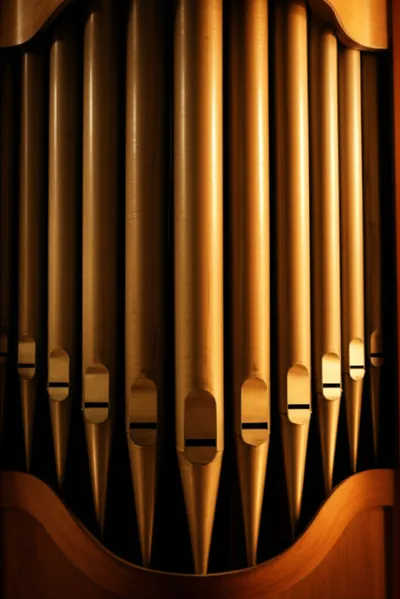 Illustration gambas - Image 1