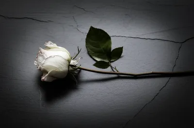 Illustration deathly - Image 1