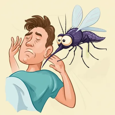 Illustration mozzie - Image 1