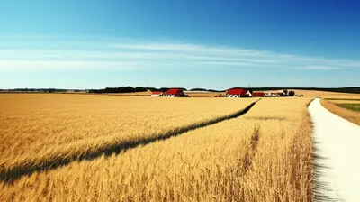 Illustration interiors - Image 1