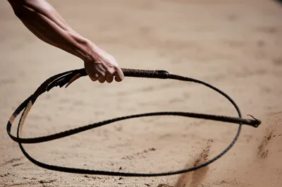 Illustration lash - Image 1