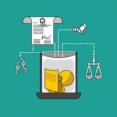 Hình ảnh minh họa money