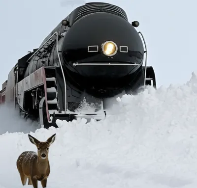 Illustration cowcatcher