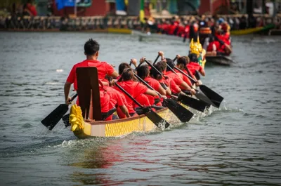 Illustration sweeps - Image 1