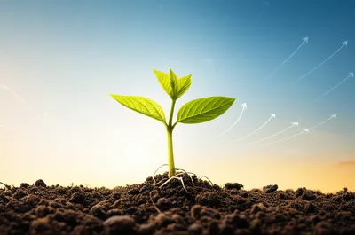 Illustration optimistic - Image 1