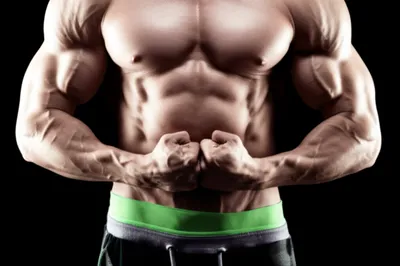 Illustration muscle - Image 1