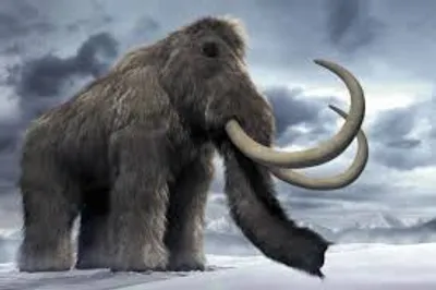 Illustration mammoth - Image 2