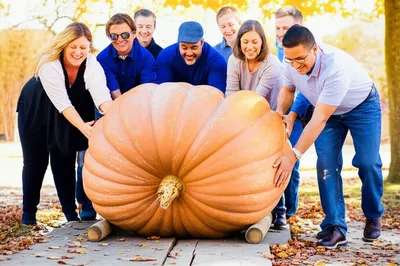 Illustration rolled - Image 1