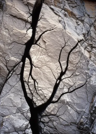 Illustration horses - Image 1