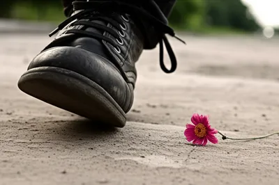 Illustration spurns - Image 1