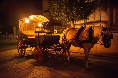 Illustration whiskeys - Image 1