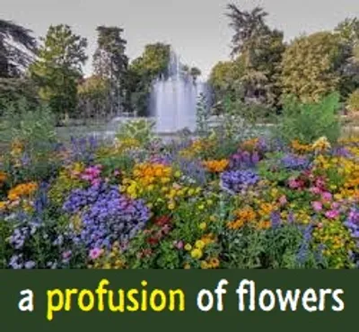 Illustration profusion - Image 2