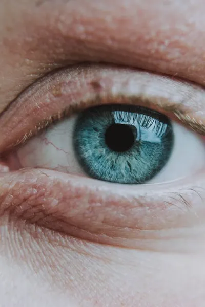 Illustration ocular - Image 2