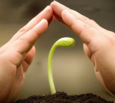 Hình ảnh minh họa springing - Ảnh 1