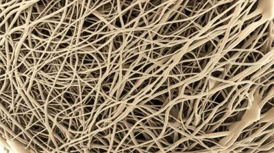 Illustration fibrin - Image 1