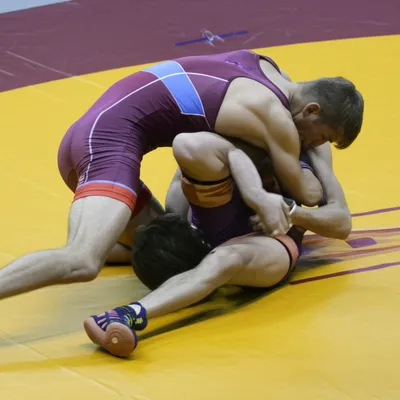 Illustration wrestling