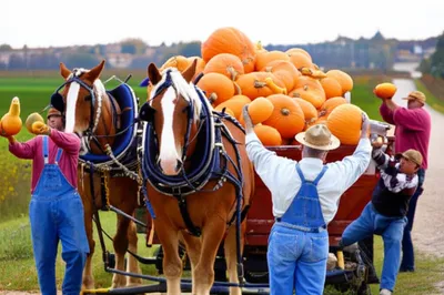 Illustration waggons - Image 1