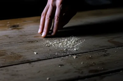 Illustration crumbs - Image 1