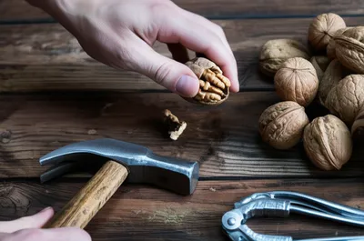 Illustration utilizing - Image 1