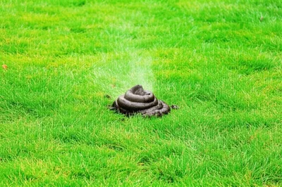 Illustration business - Image 1